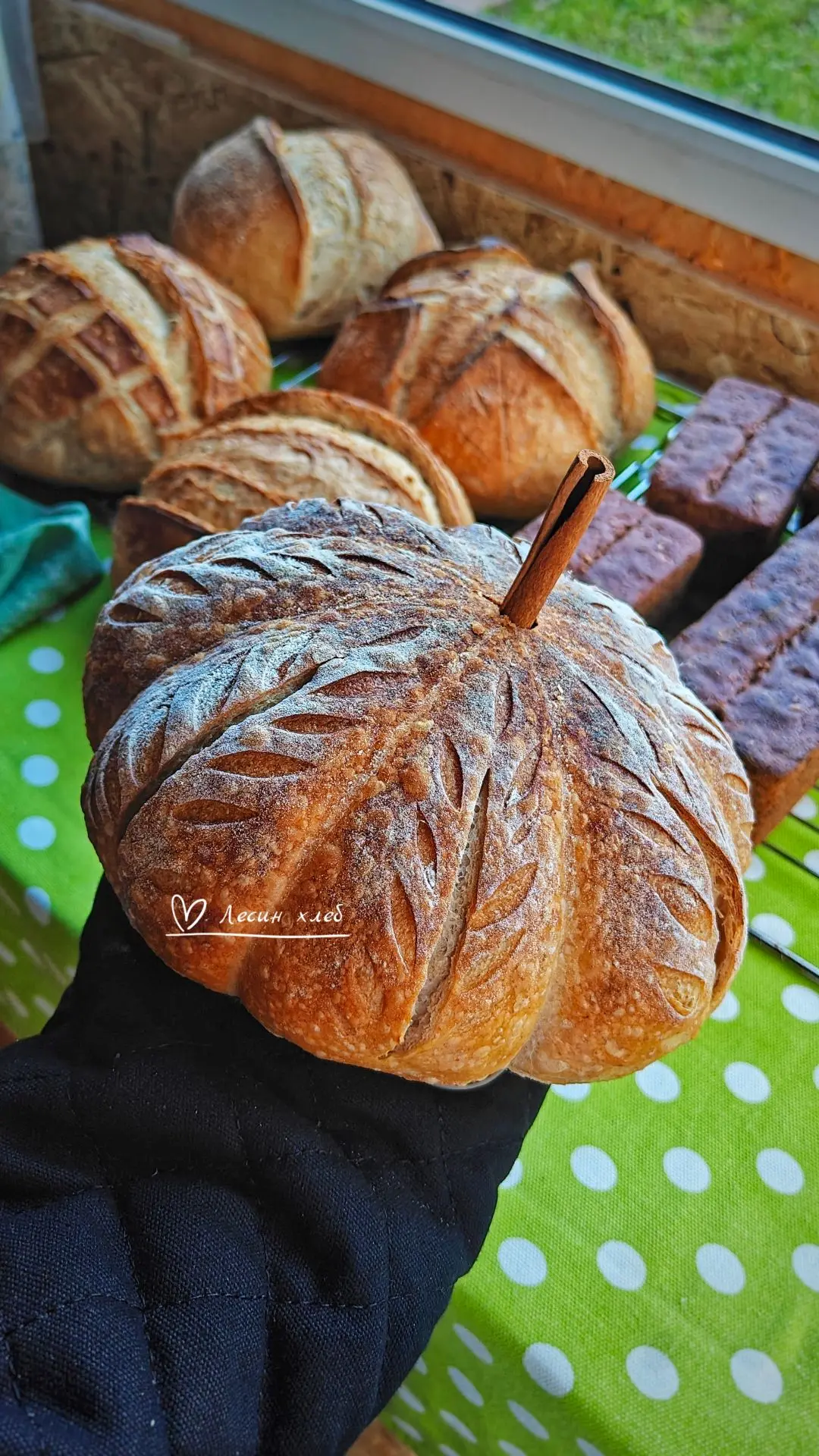 Всем "тыкаф" и любви! ☀🍁🧡