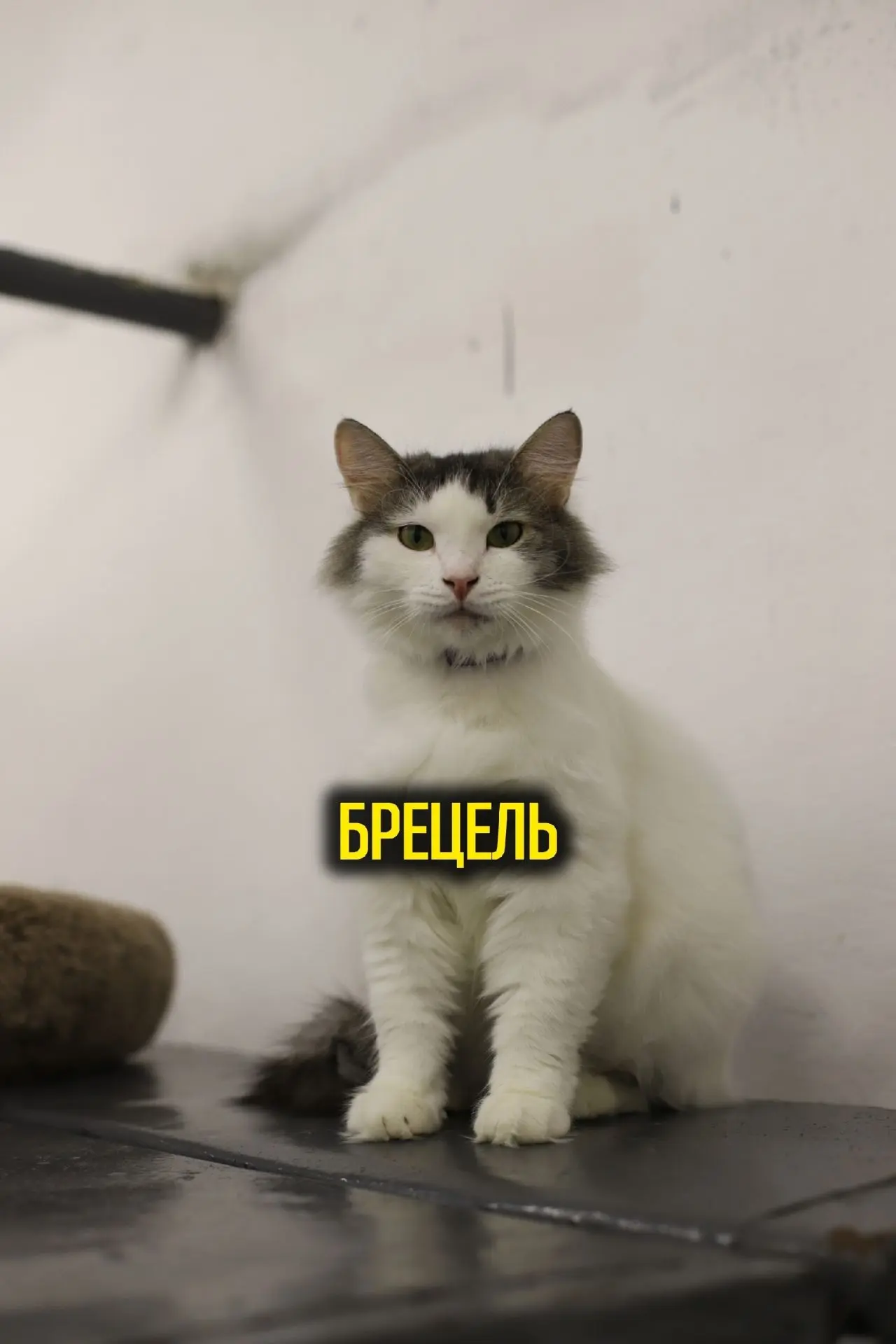 Брецель💛