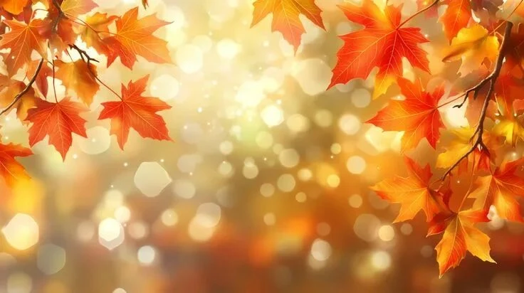 🍂🍂🍂Танцуй эту долгую осень, моя хорошая,