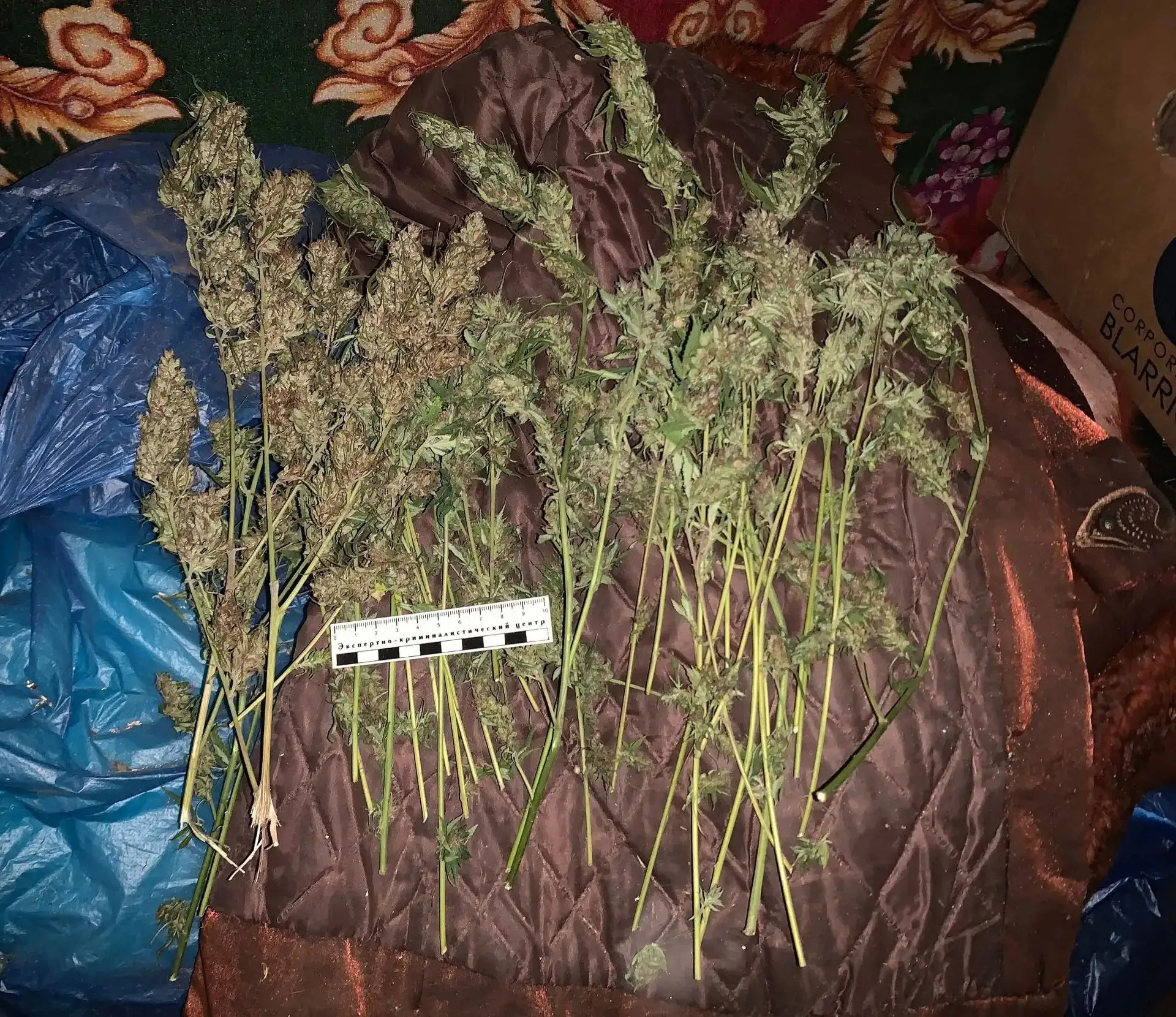 В Майском районе силовики изъяли у двух местных жителей почти килограмм марихуаны