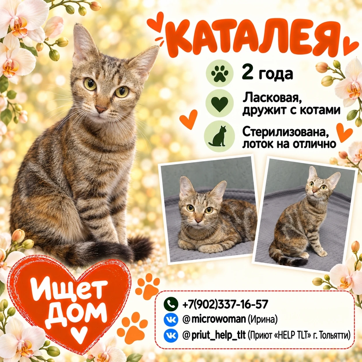 🐱 Друзья, Каталея очень любит, когда с ней разговаривают. Почешите её за ушком, поглад...