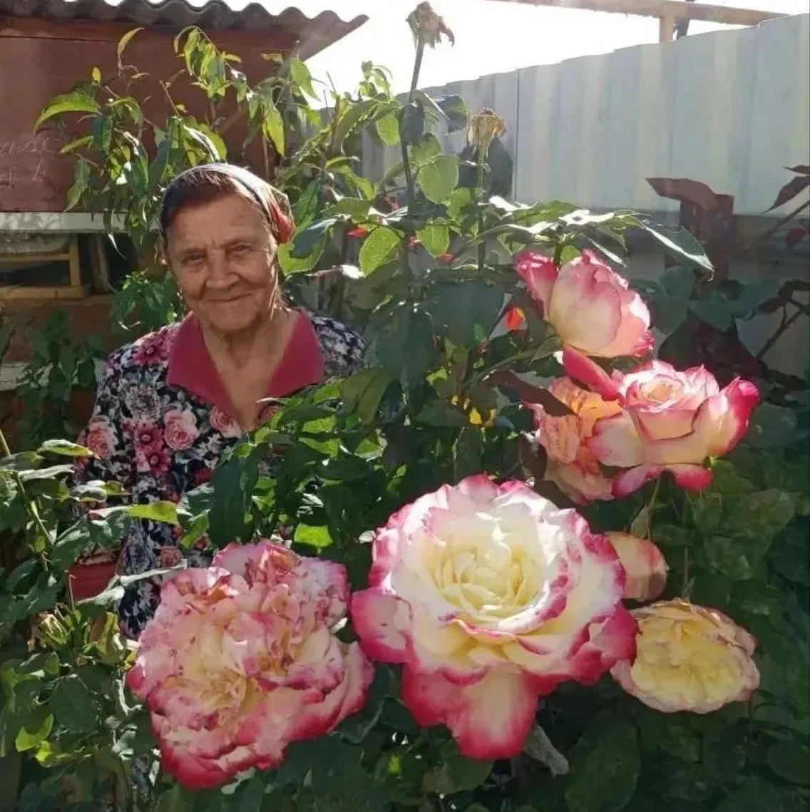 Сегодня 10 октября, мы отмечаем знаменательную дату — 90-летие Нины Ивановны Чепиковой,...
