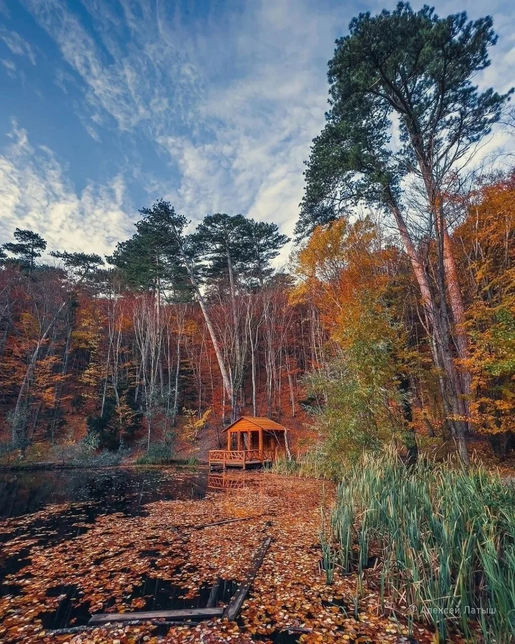 Неисчерпаемая палитра осенних красок в Крыму🎨