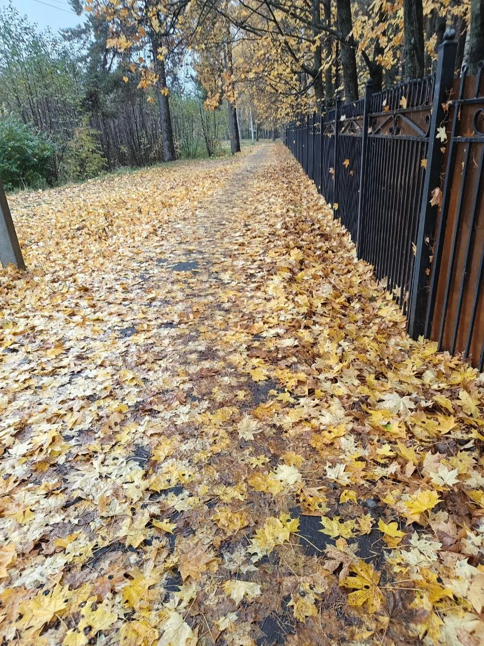 В чат #Раменское пишут: