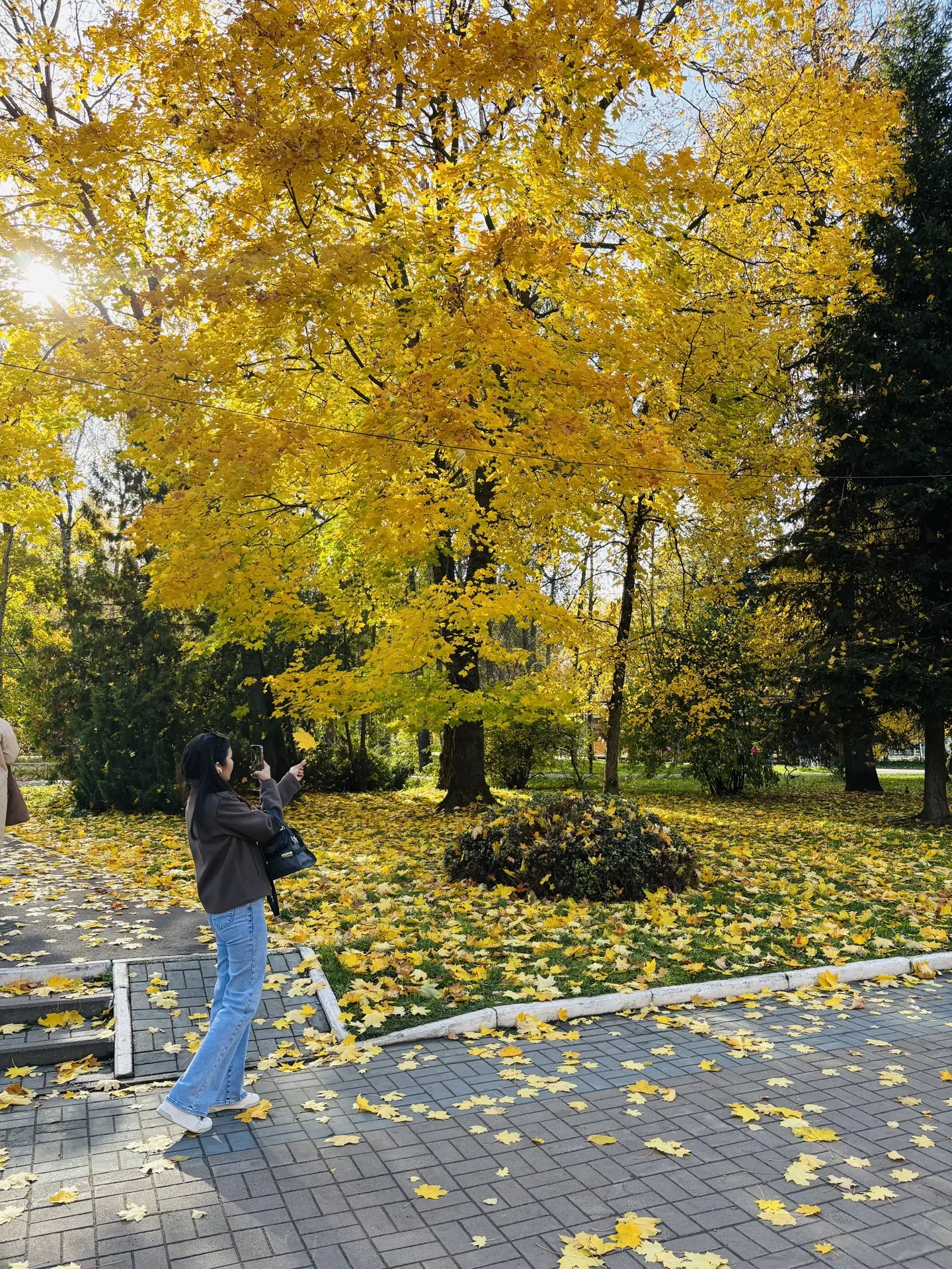 🍁Осень - время, когда парк становится особенно красив.