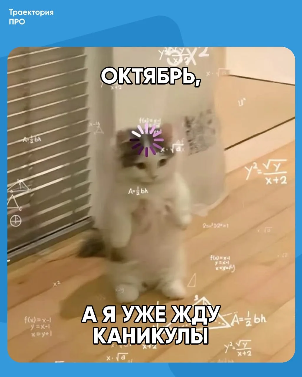 Октябрь только начался, а мозг уже в режиме «загрузка каникул…» 🙃