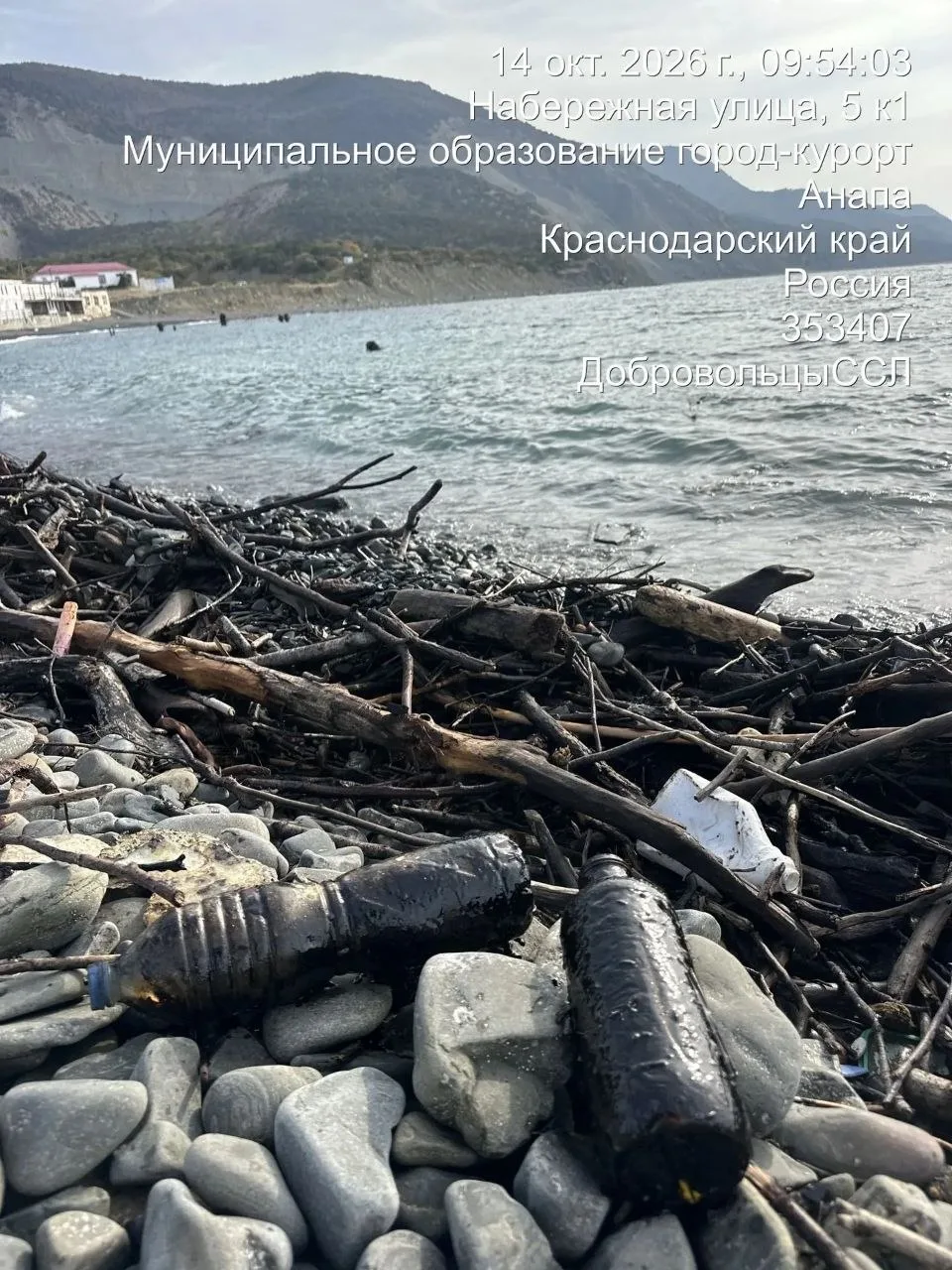 Точечный мониторинг. Утриш. Береговая линия, обращенная на Новороссийск.