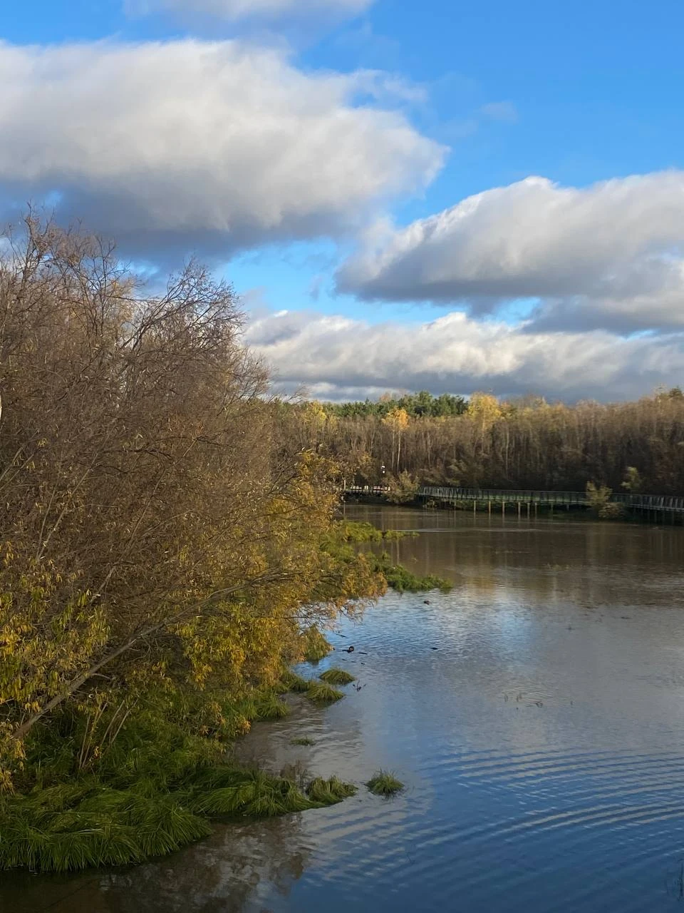 🌦☁⛅🌥 Днём в Сургуте +4°С. Ветер северо-западный 5 м/с.