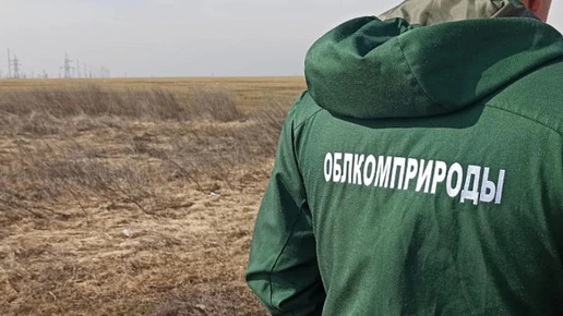 В Волгоградской области выявили 1,5 тысячи экологических нарушений