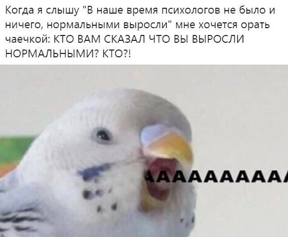 Ночной чат 💭