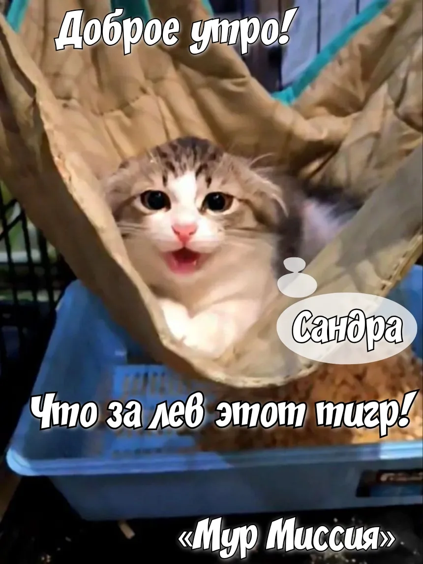 Доброе утро! 🍁