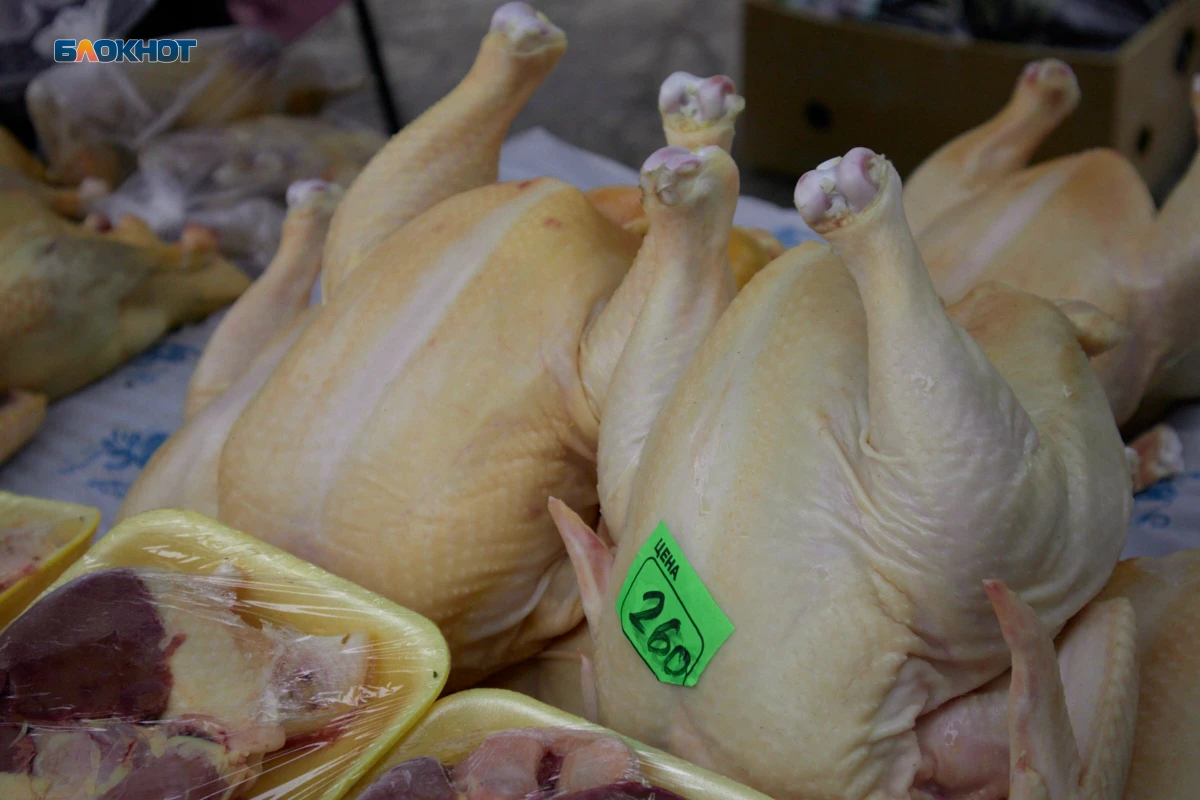 В ставропольской курятине нашли сальмонеллу: продукцию поставляли в школьные столовые Т...
