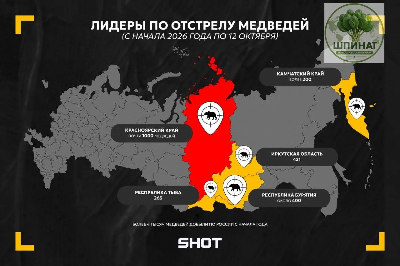 Уже более 4 тысяч медведей отстрелили в России с начала 2026 года — данные SHOT