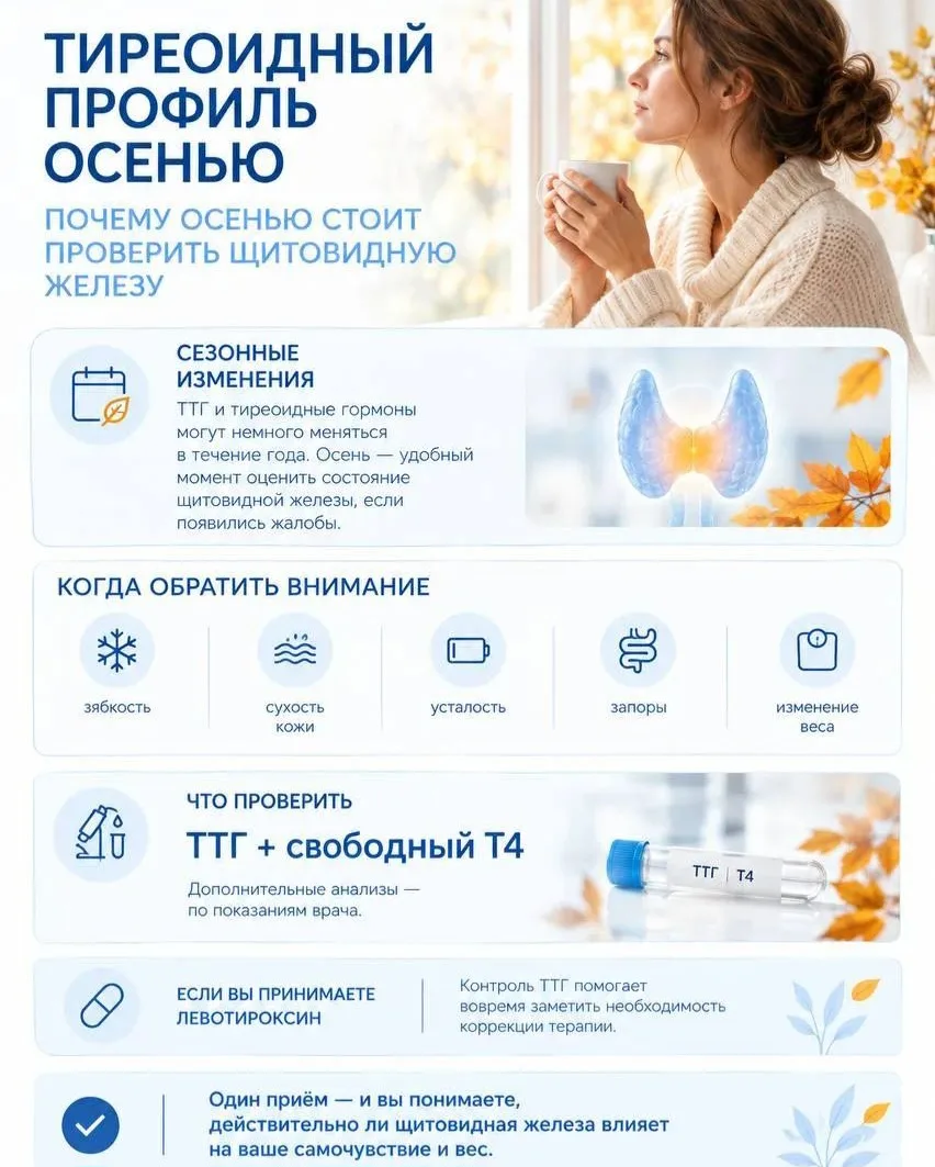 Тиреоидный профиль осенью: почему щитовидная железа требует контроля в холодный сезон