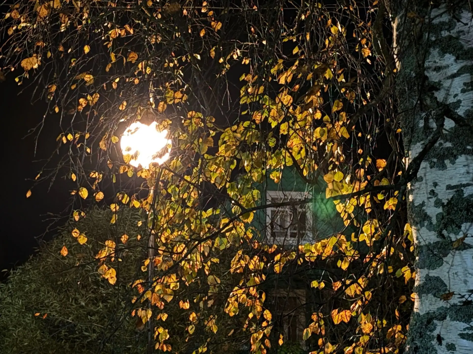 Есть особенная красота в том, что совсем рядом✨