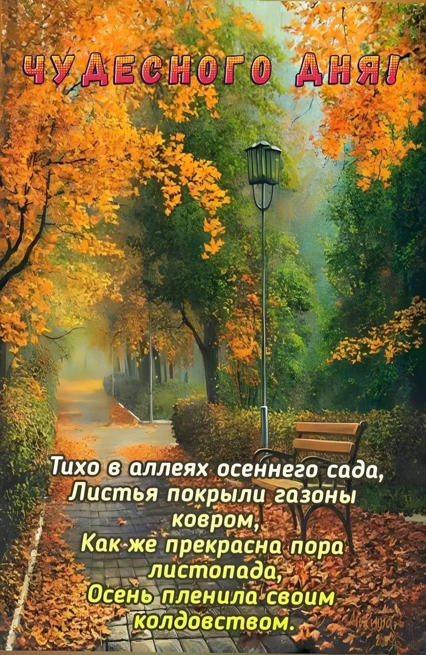 Женские открытки💝
