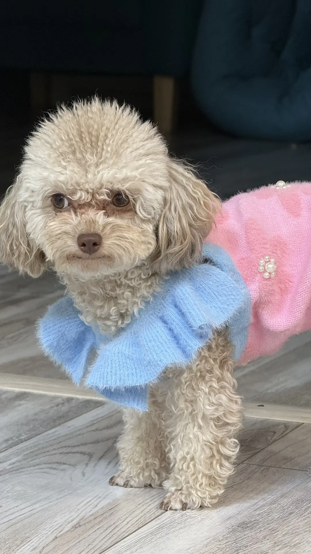 А тут я 😍