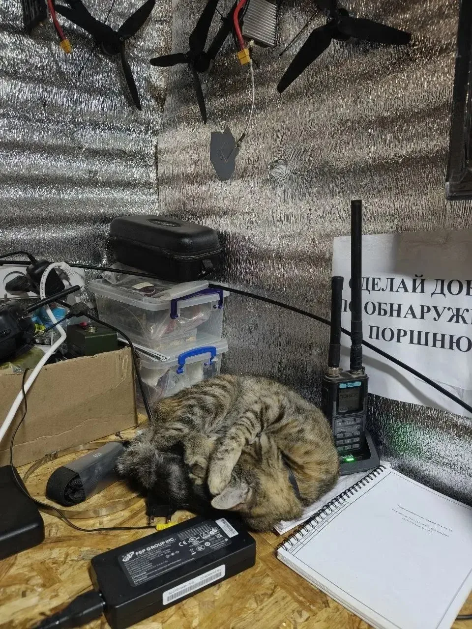 ✨Пусть прошедший день заберет все печали и невзгоды с собой, а сон подарит вам душевных...