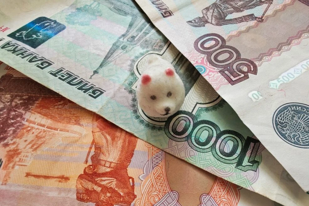 В Смоленске судебные приставы арестовали счета коллекционера штрафов