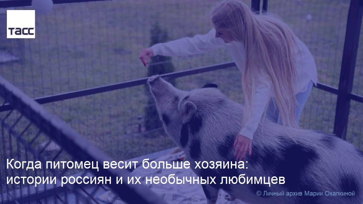 Процедуры по расписанию, полноценный рацион питания и игры с хозяевами — именно так жив...