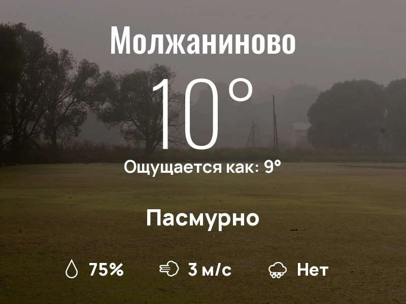 Что с погодой в Молжаниново?