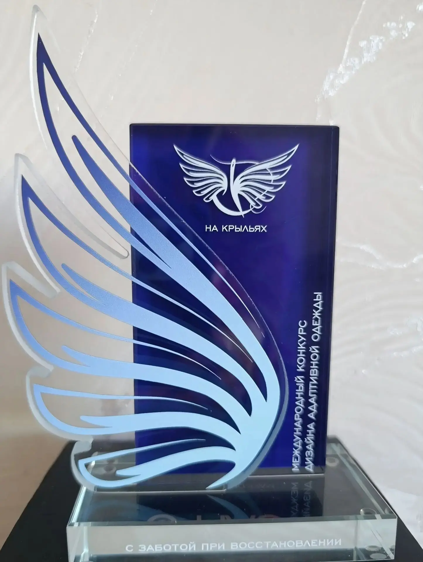 🏆Крымчане стали победителями окружного этапа Международного конкурса дизайна адаптивно...