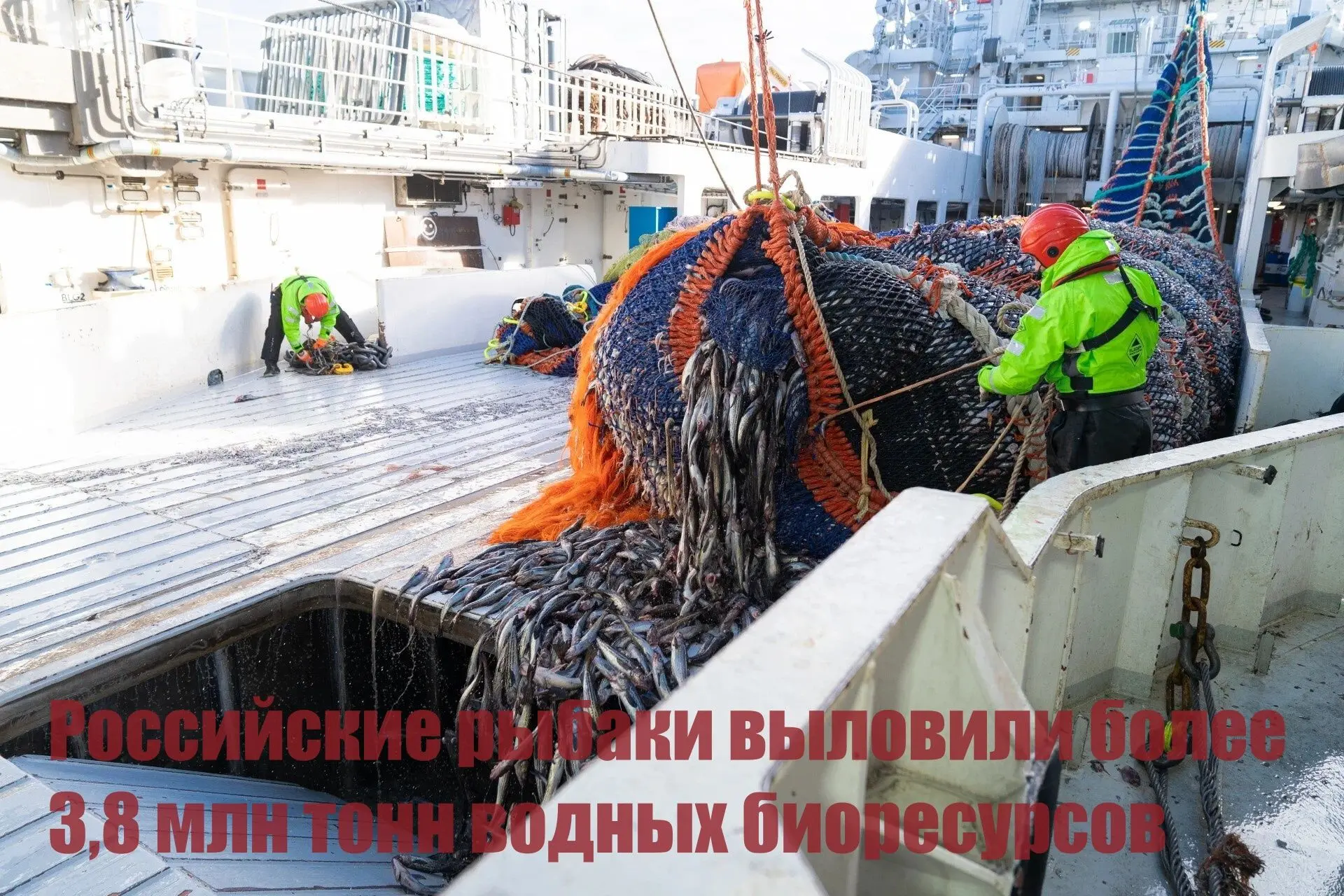 Российские рыбаки выловили более 3,8 млн тонн водных биоресурсов