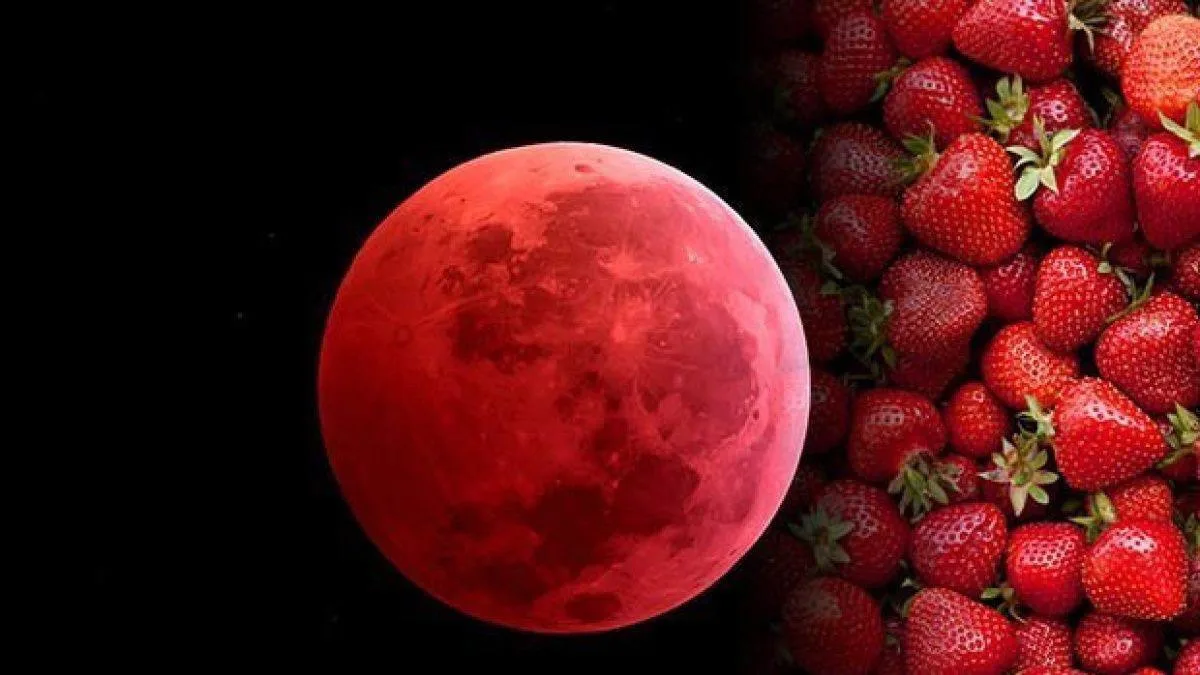 🍓 «Клубничная» Луна взойдёт над Россией уже этой ночью