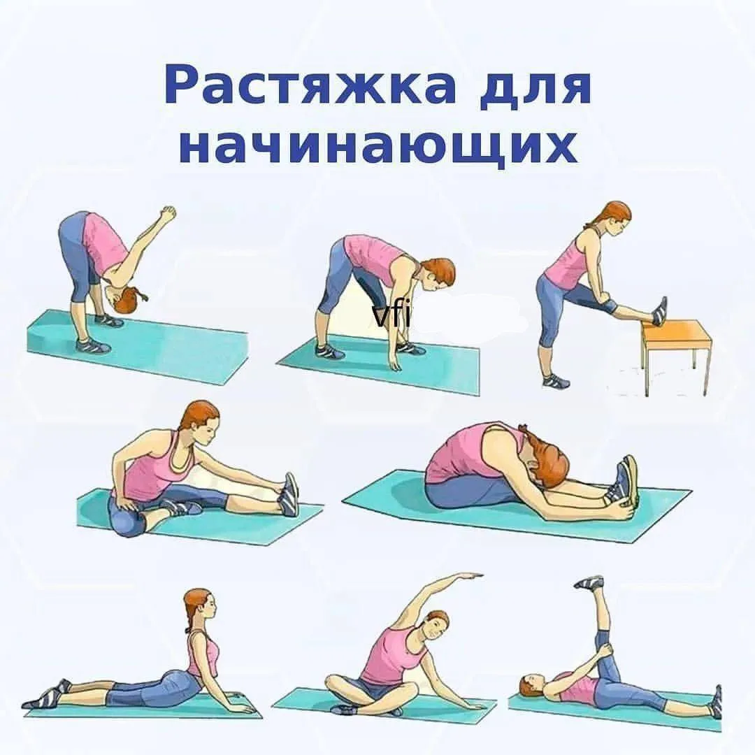 Растяжка для начинающих!😋
