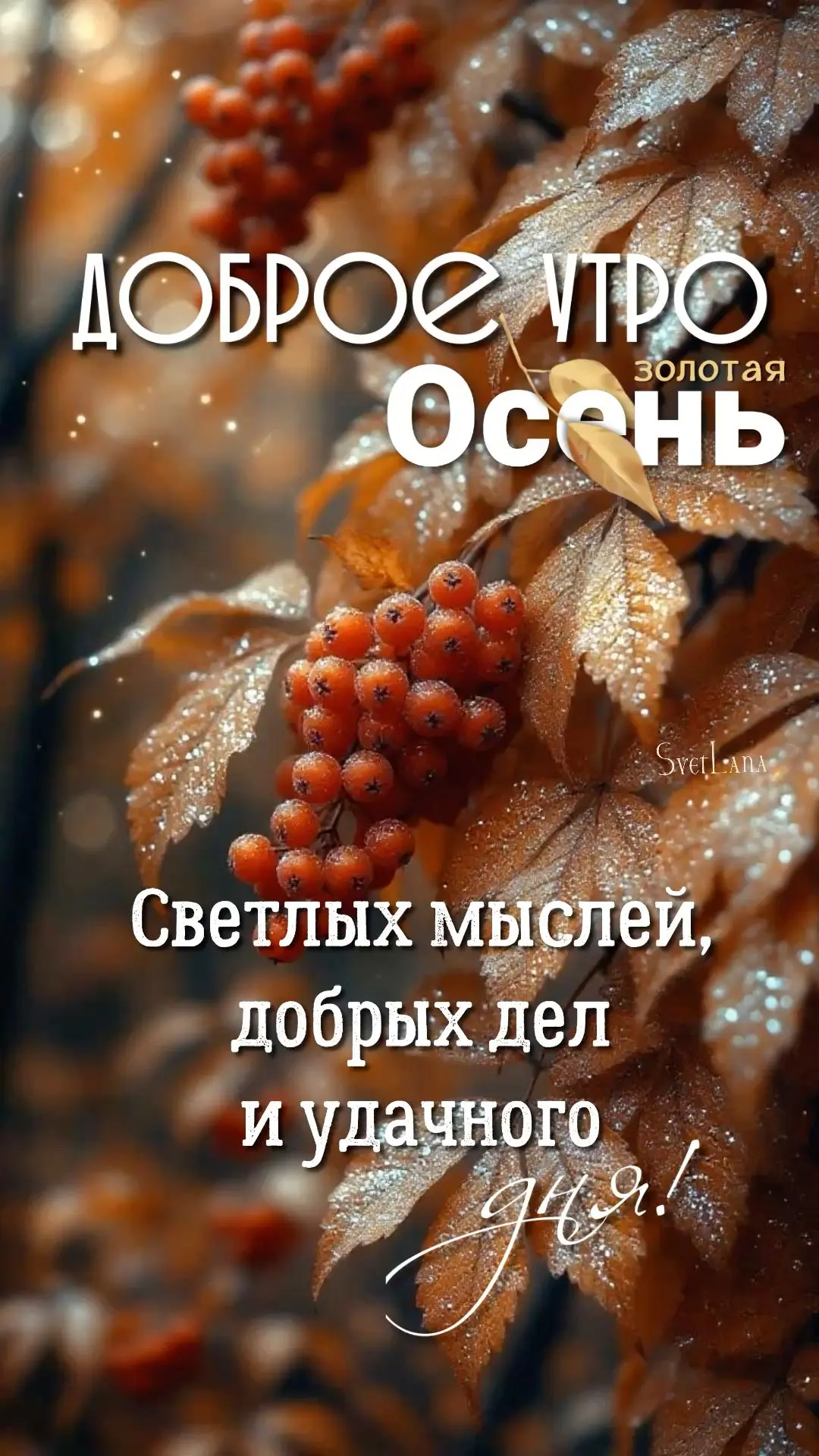 ☀️Доброе утро — залог хорошего дня! ☀️