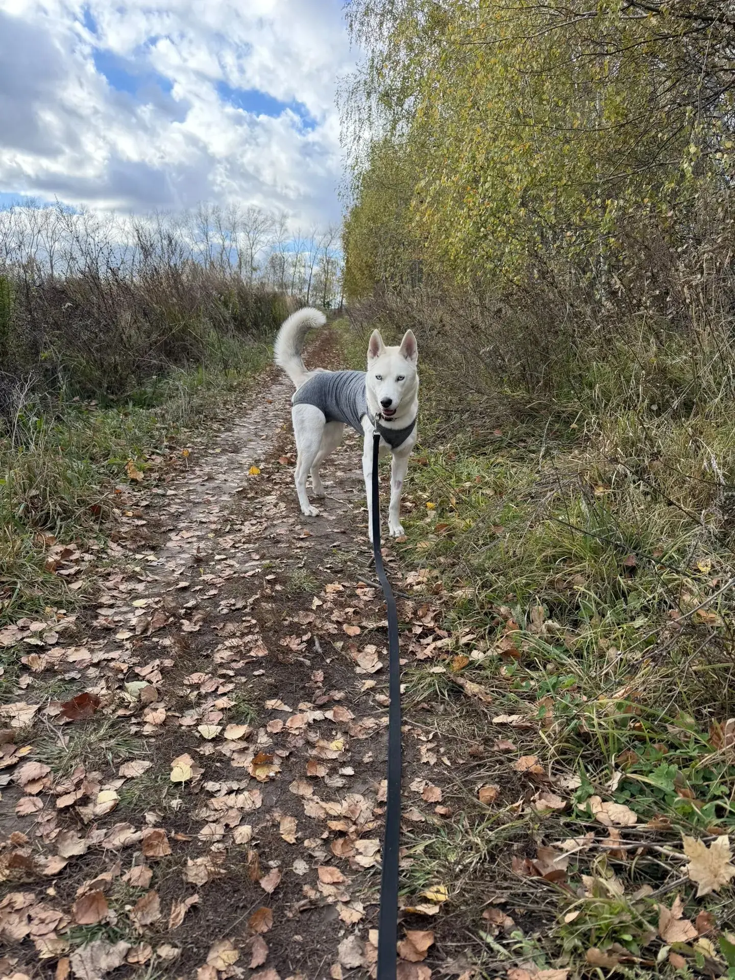 Тайка. Новости хорошие🤍
