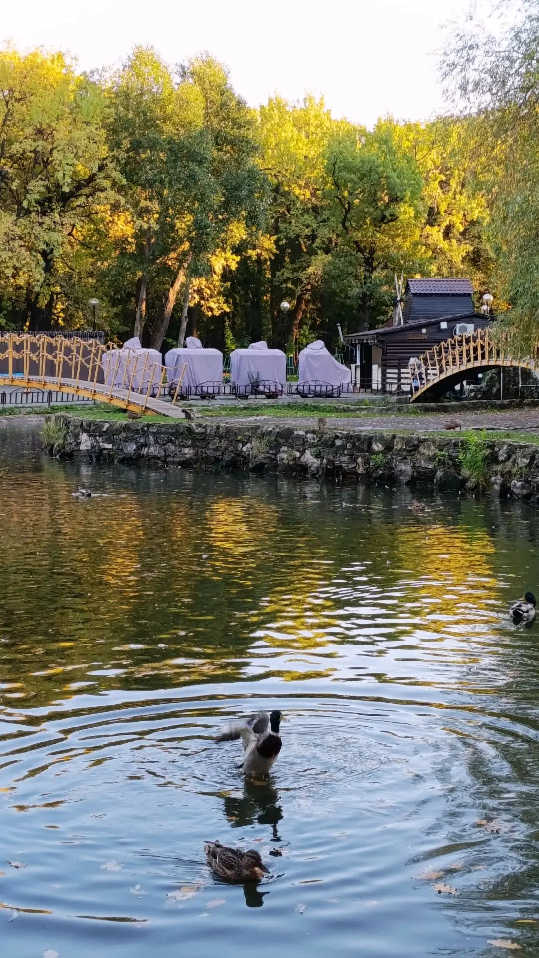 Парк им. Ю. Гагарина.🍁🍂