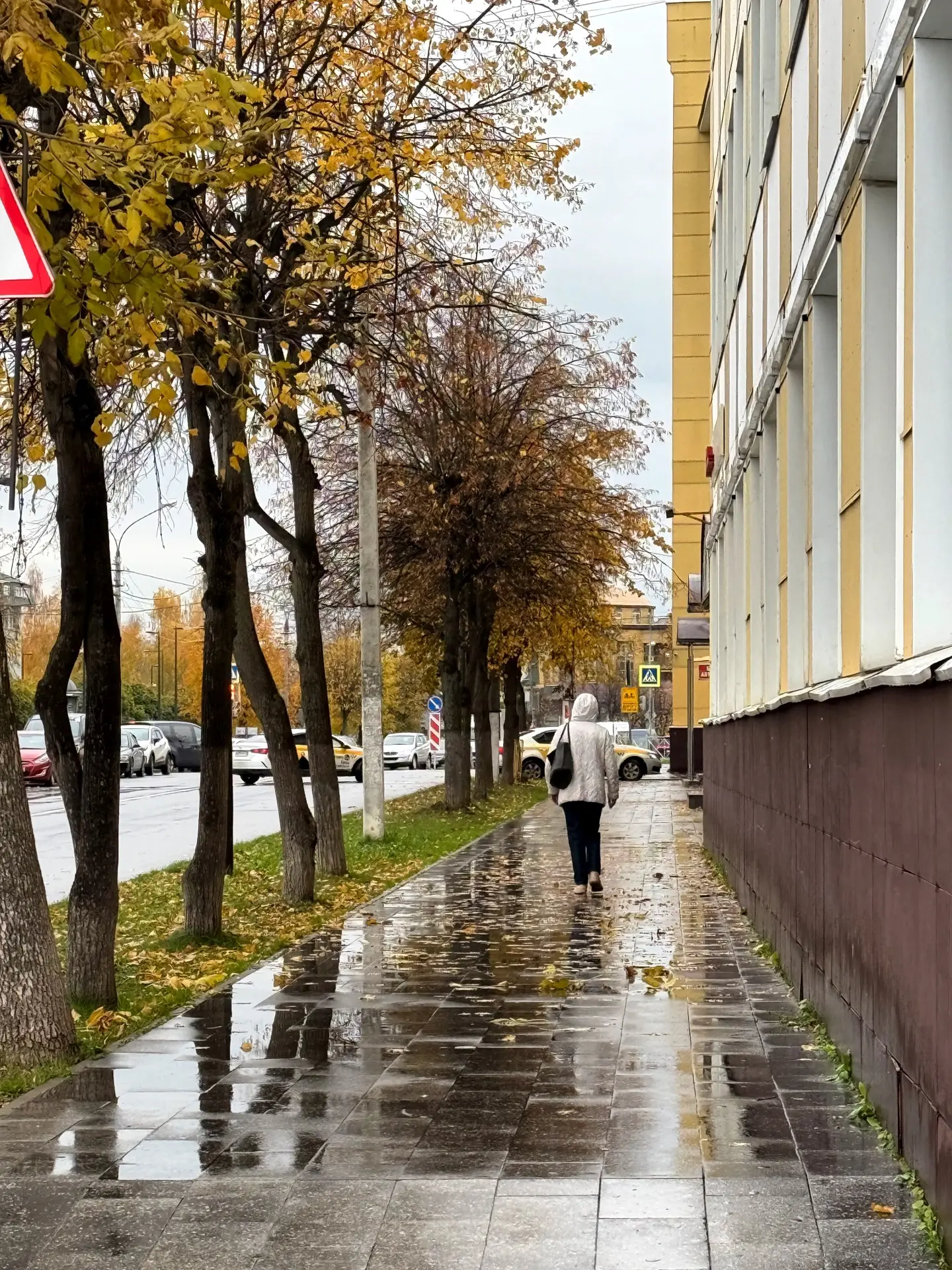 🌧️ В Дмитрове дождь будет идти всю рабочую неделю, кроме пятницы, — синоптики
