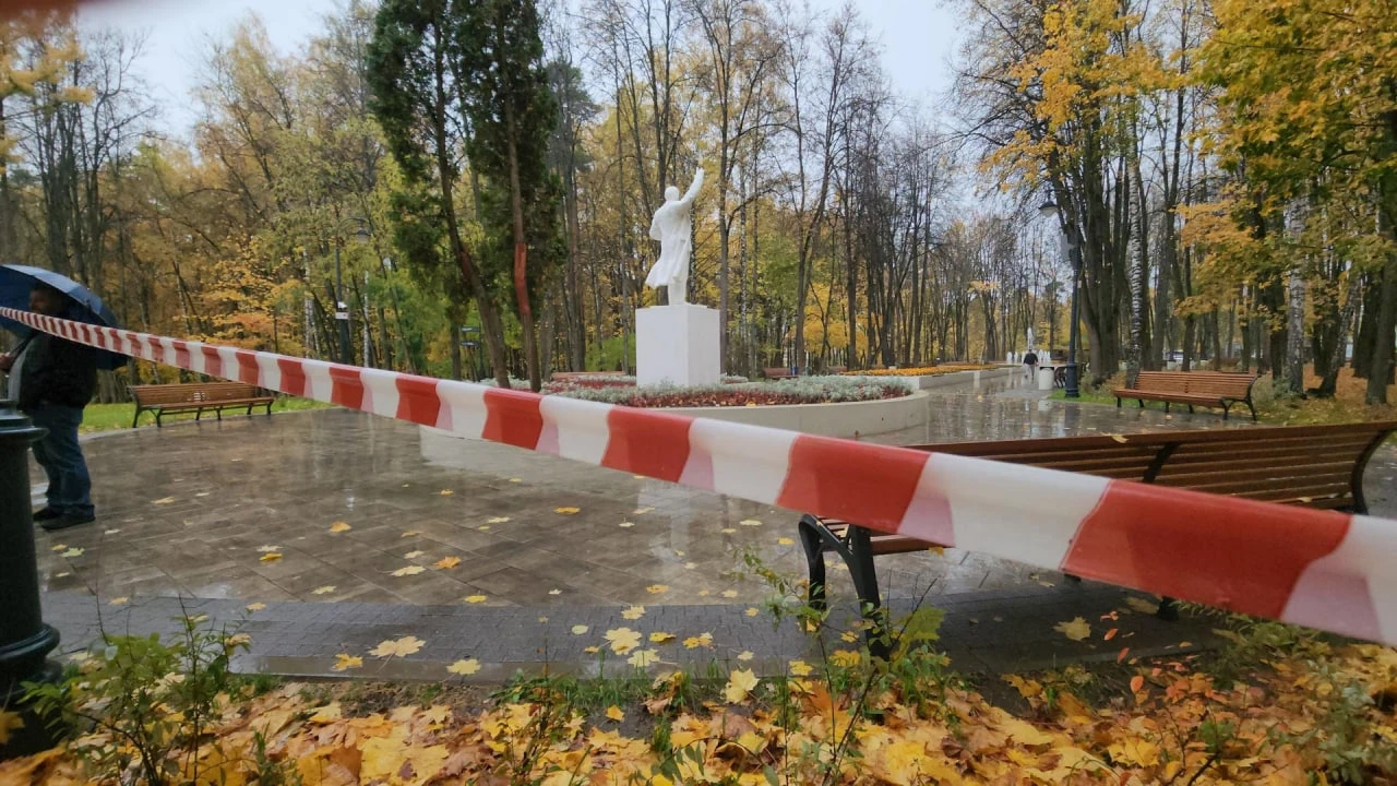 🎡 В Красногорском парке возведут самое высокое колесо обозрения в Московской области