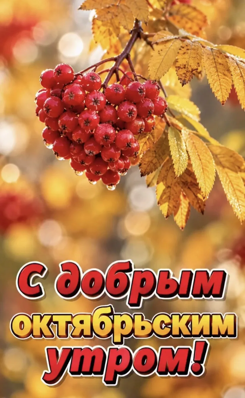 Доброе утро!