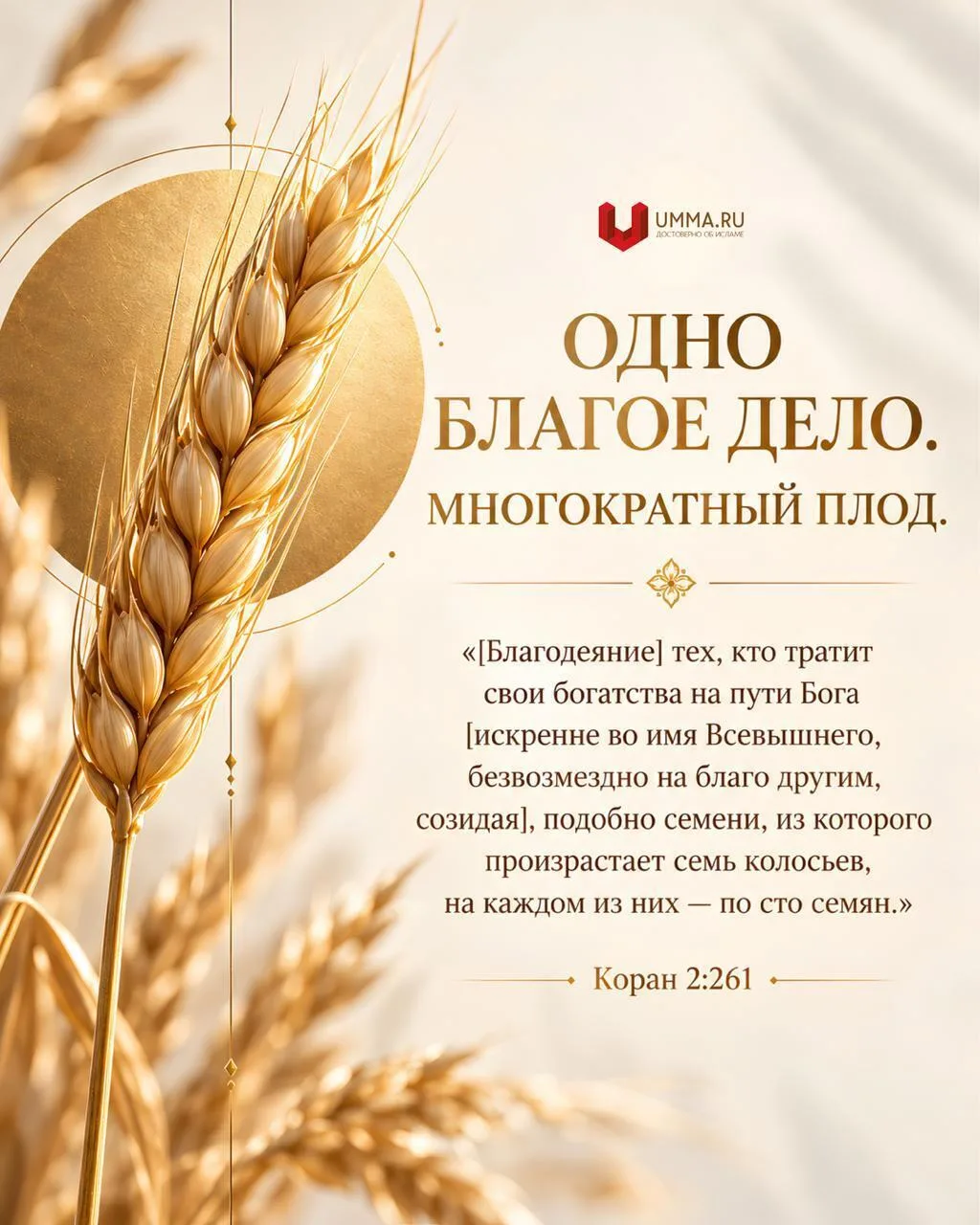 Достоверные знания, которые меняют жизнь ❤️