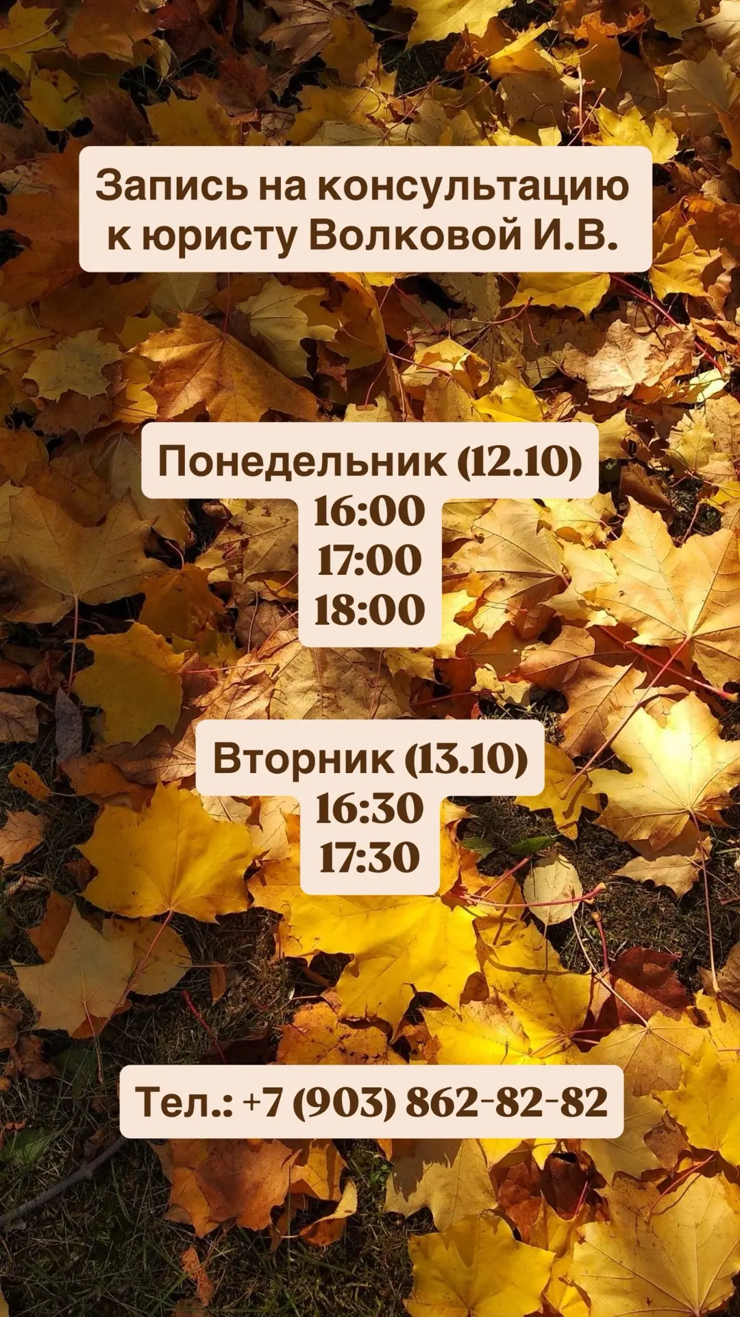 🌐 Сайт |📱 ВКонтакте | 📲 Канал в ТГ