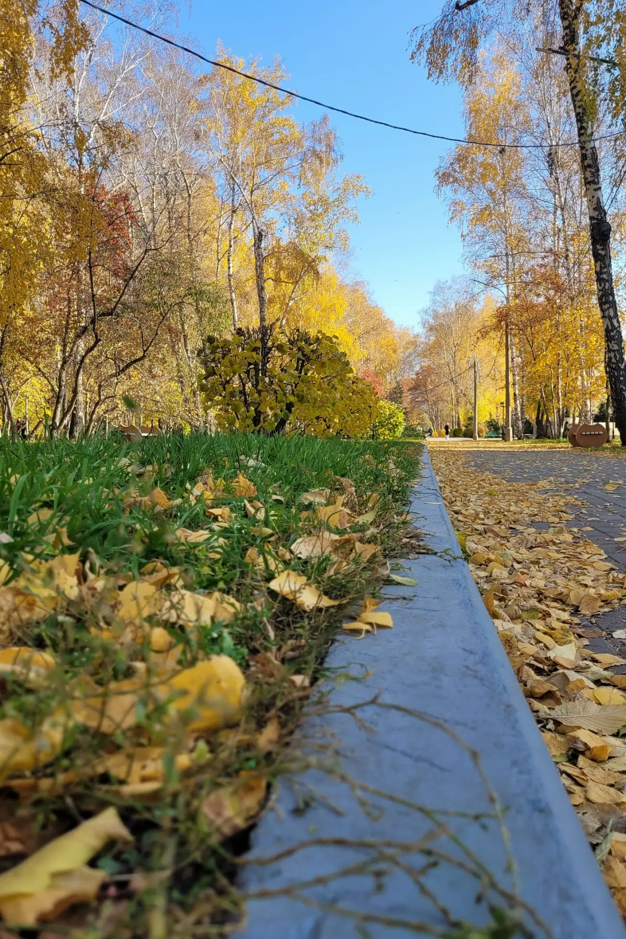 🍁 Доброе утро, дорогие жители Дзержинского района! Пятница уже здесь, и рабочая неделя...