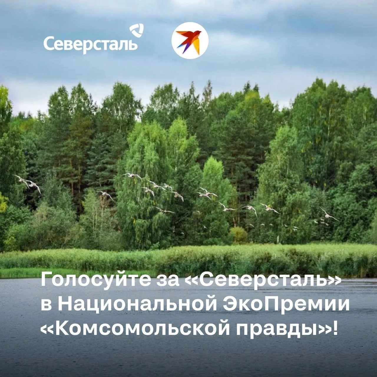 Поддерживаем экологические проекты «Северстали» вместе!
