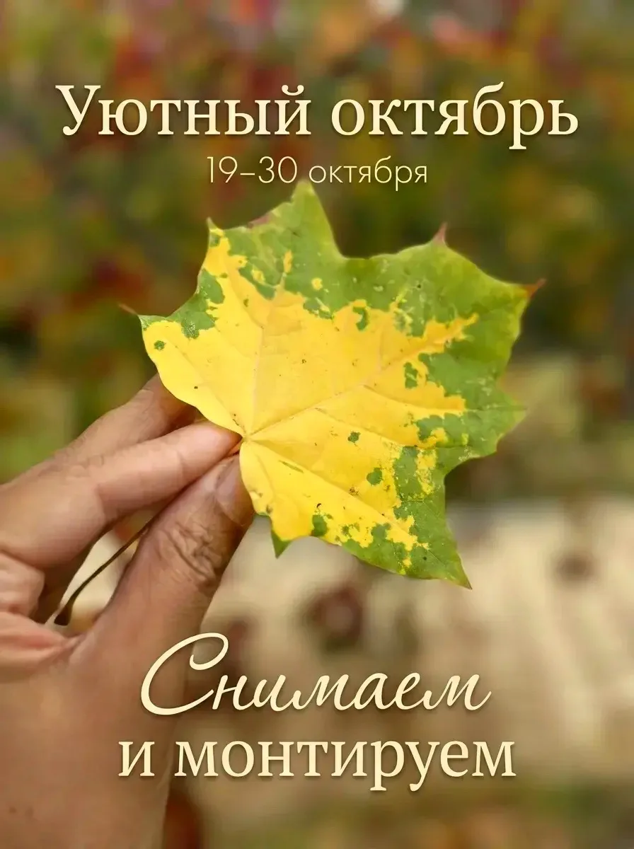📽️🤩 Приглашаю вас на уютный октябрьский видеомарафон.