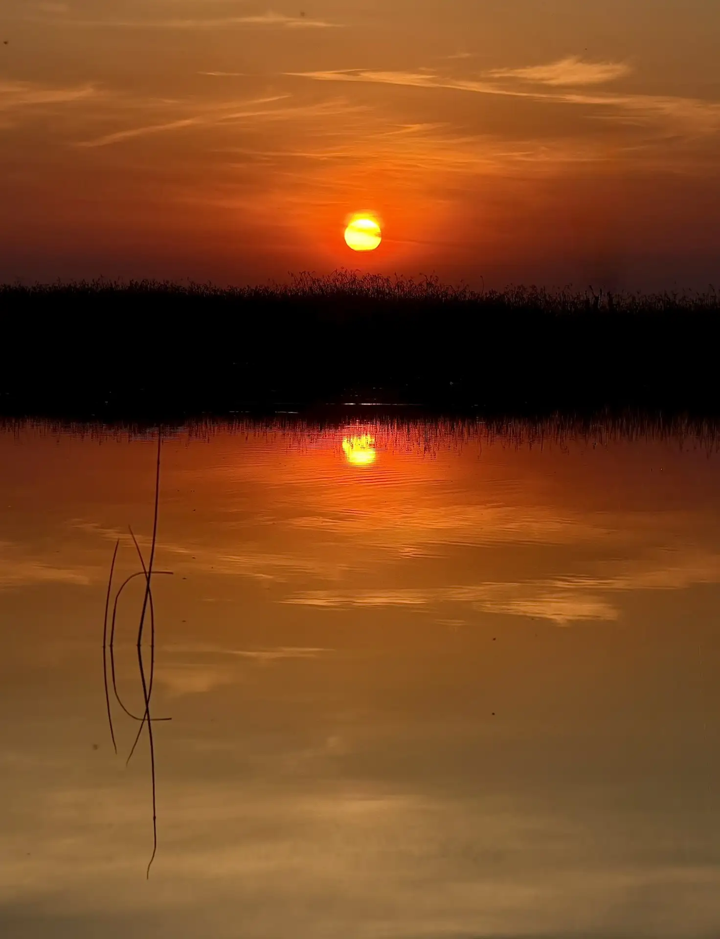 Солнце садится дважды: один раз в небе, второй — в воде. 🌅