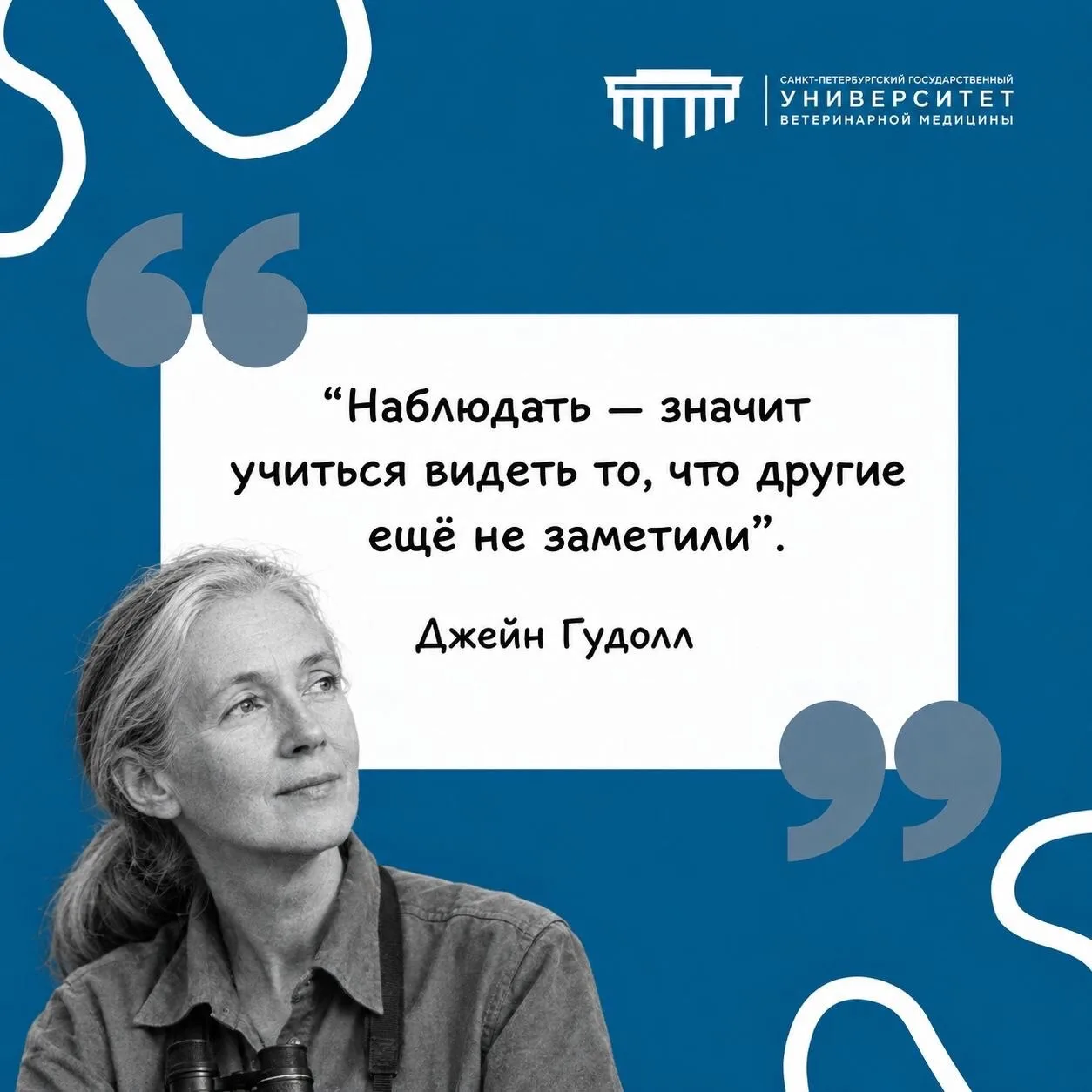 #фразадня #СПбГУВМ