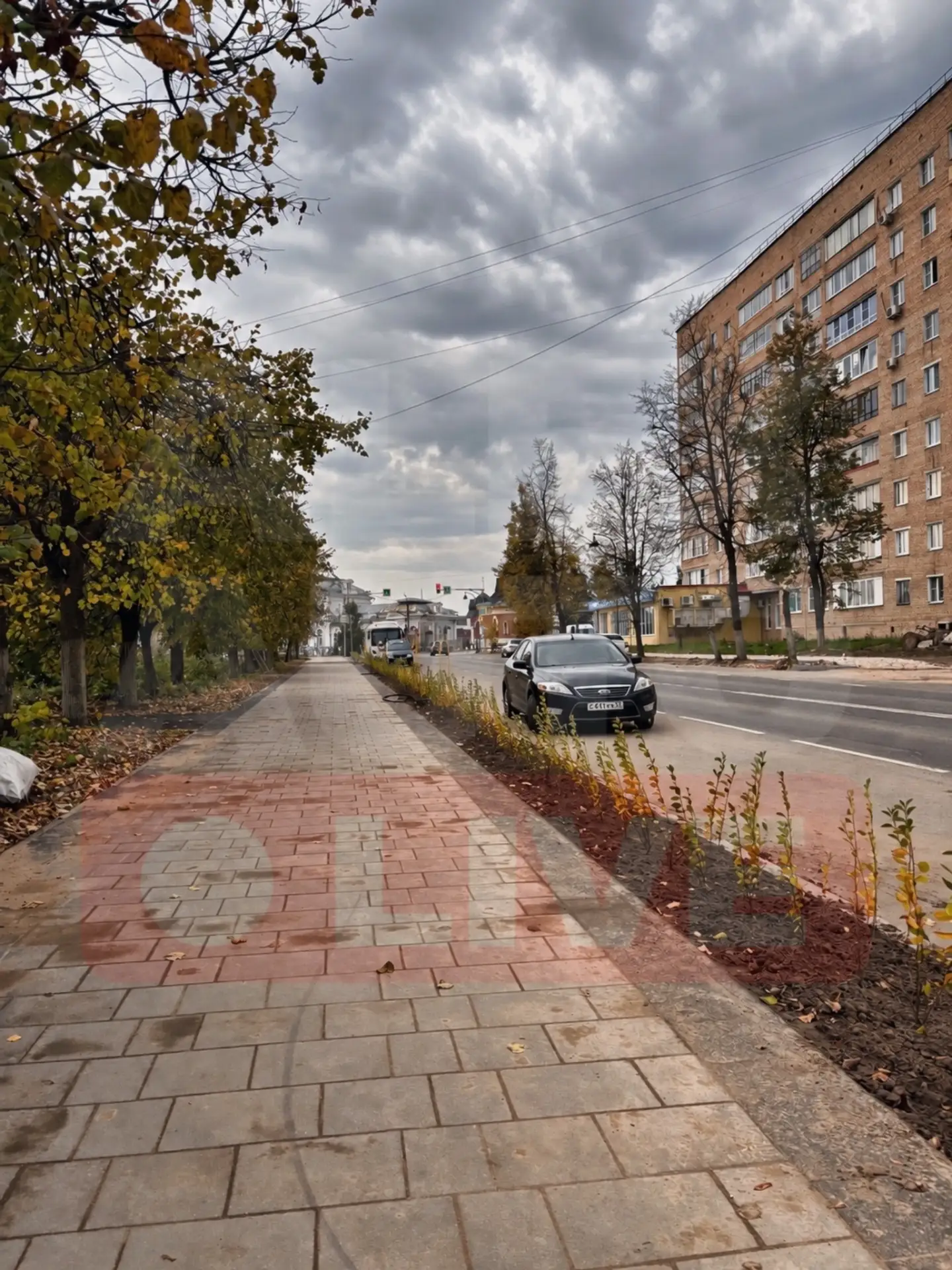 ⚠️ Во Владимирской области ожидается сильный ветер