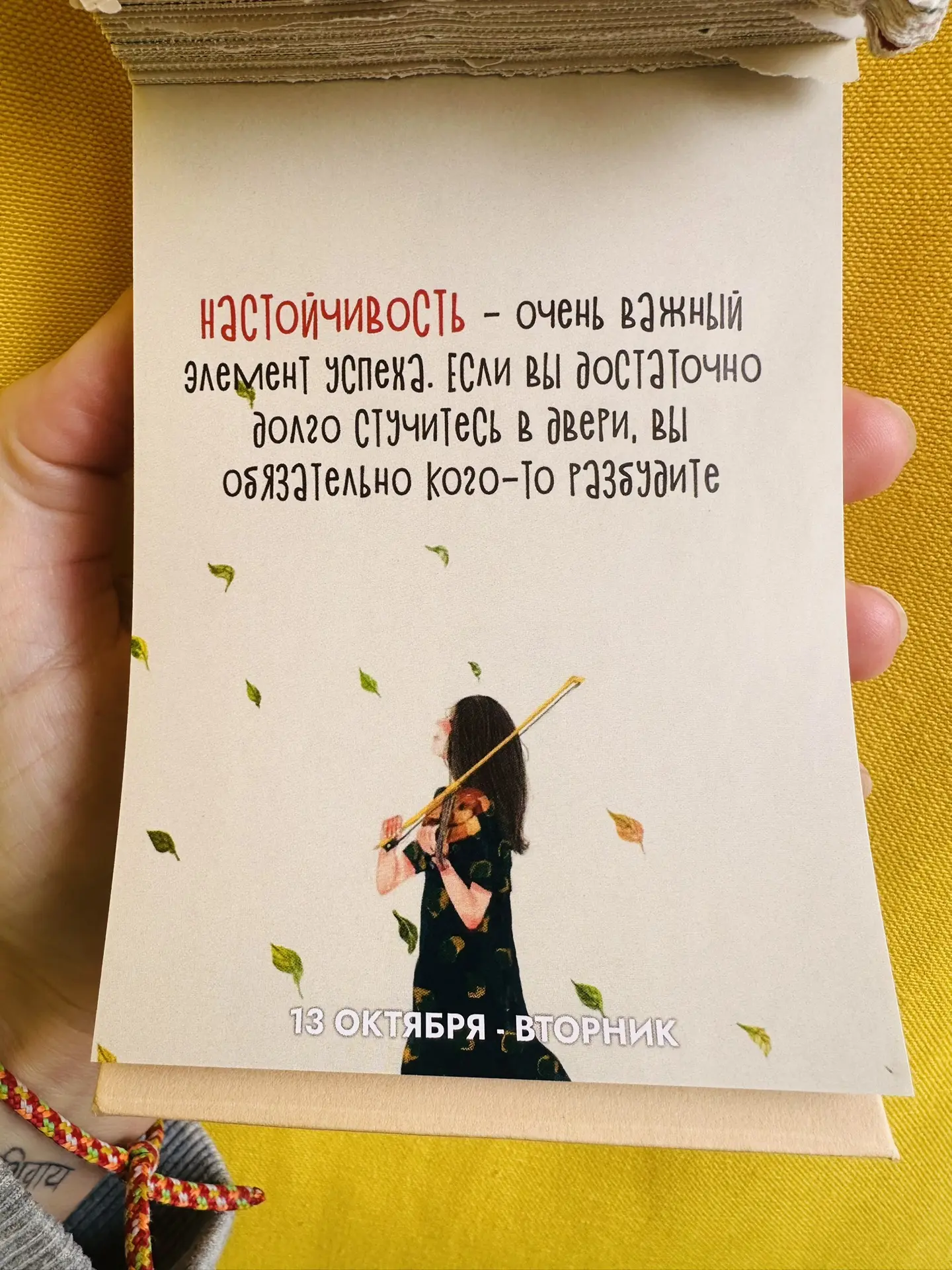 Добрый день!☀️
