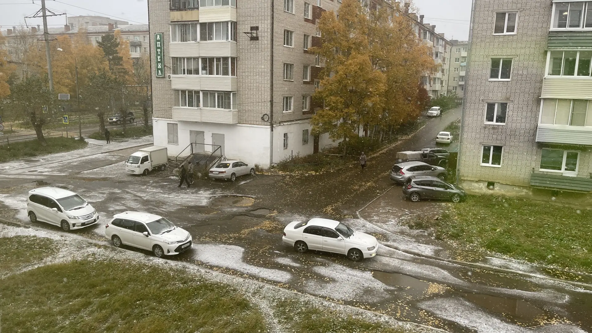 Сегодня первый снег в Николаевске 🎉❄️