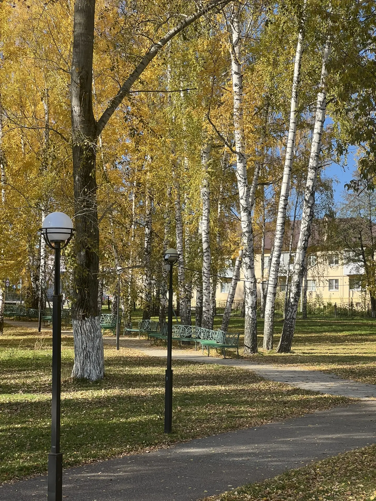 🍂 Доброе утро, Елабуга!