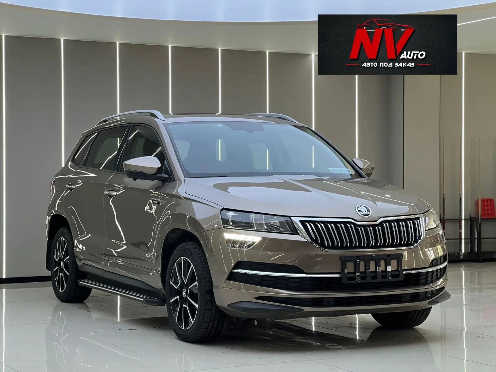 🇨🇳SKODA KAROQ из Китая🇨🇳