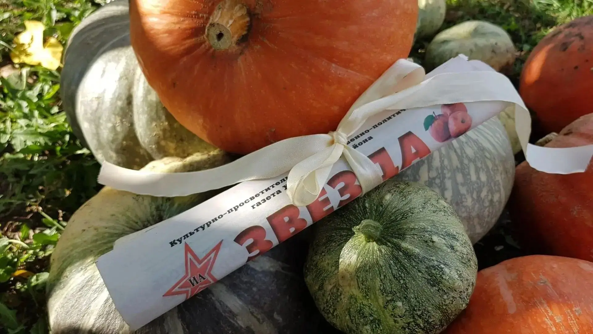 Читайте в новом выпуске!