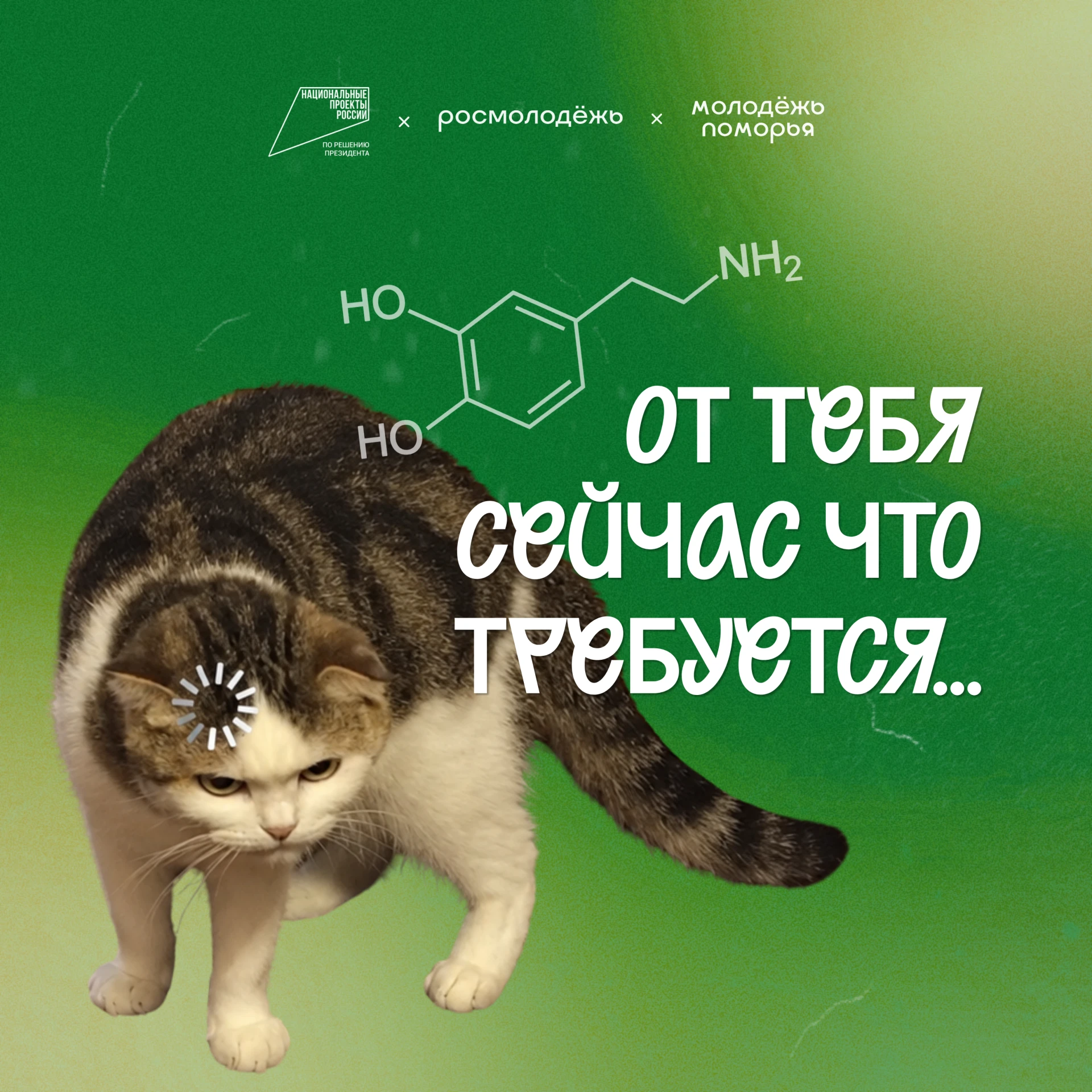 🧠 Наверняка ты слышал фразу «гормон счастья»