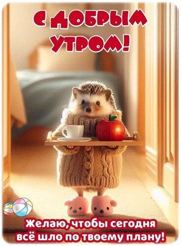 ЖИВЫЕ ОТКРЫТКИ🫶🏻